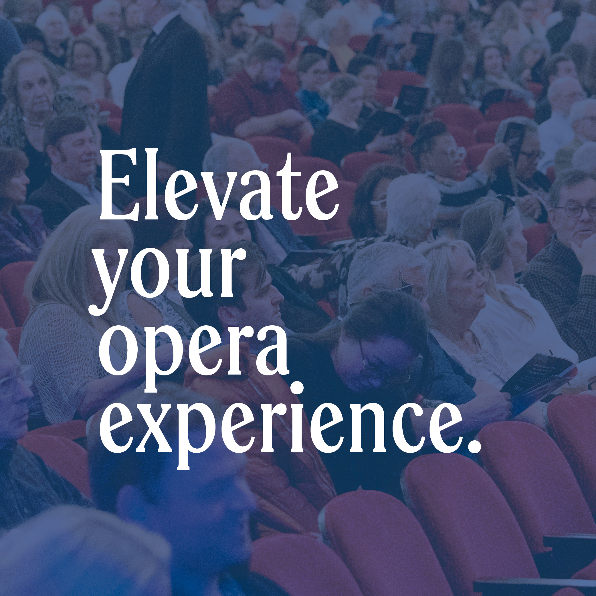 Enjoy even MORE  this season with an  Elevated Subscription.